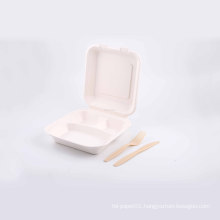 Hot sale nontoxic cane syrup biodegradable lunch box
